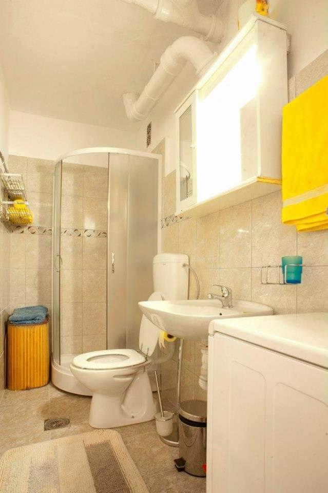 Apartments Aleksandar Petrovac 部屋 写真