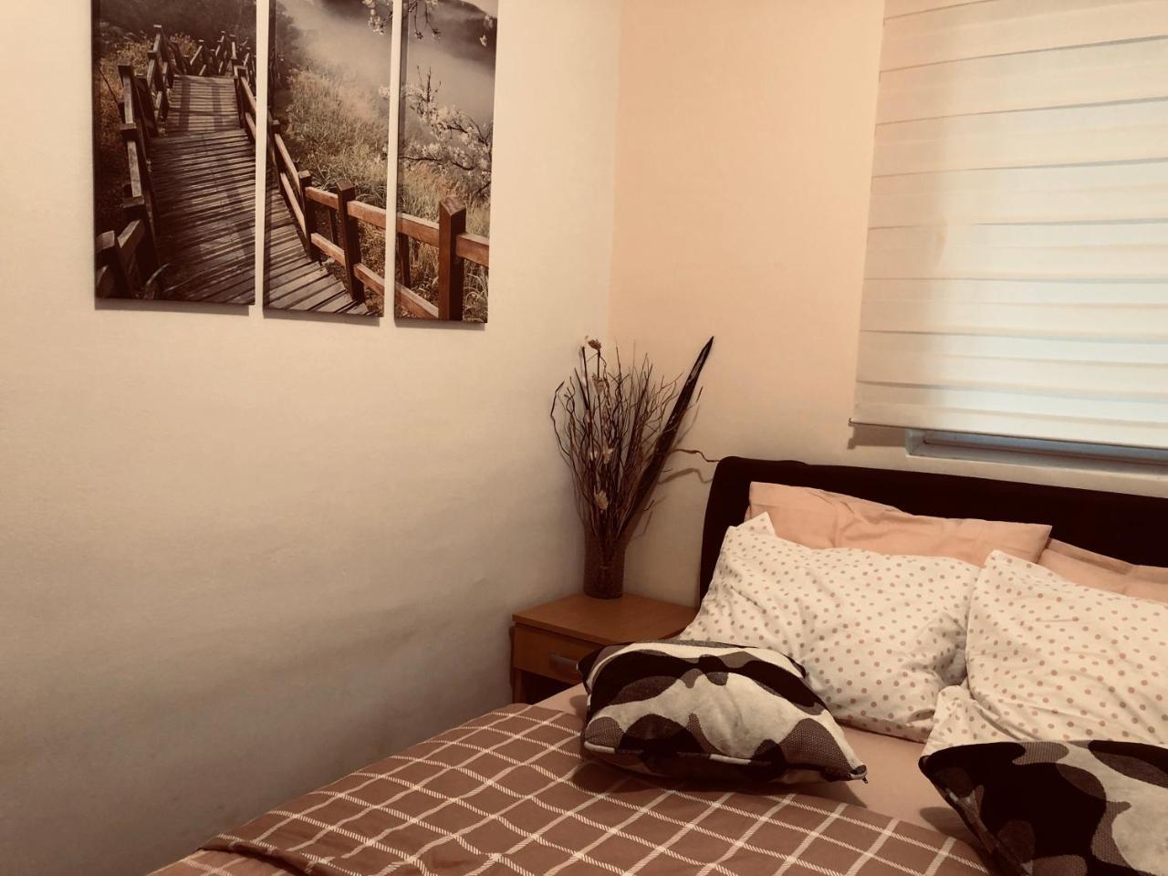 Apartments Aleksandar Petrovac エクステリア 写真